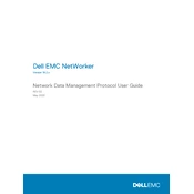 Dell NetWorker 19.2 Software