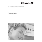 Brandt TI1032B Hob manual cover