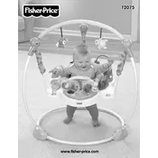 Fisher Price Mattel Precious Planet Blue Sky Jumperoo T2075 Swing manual cover