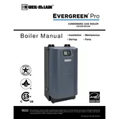 Weil-McLain Evergreen Pro 220 Boiler