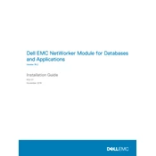 Dell NetWorker Database And Applications 19.2 Software