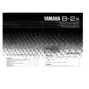 Yamaha B-2x Amplifier manual cover