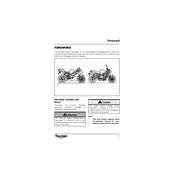 Triumph Daytona 675 A1 2009 Motorcycle manual cover