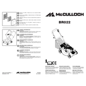 McCulloch BR022