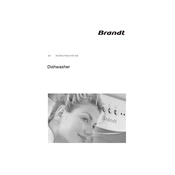 Brandt DFH1235E Dishwasher manual cover