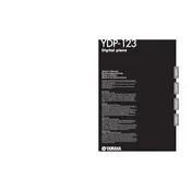 Yamaha YDP-123 Piano manual cover