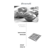 Brandt BPE6410B Hob manual cover