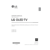 LG OLED65G1PUA TV