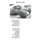 Brandt BPI164DUB Hob manual cover