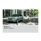 Škoda Fabia 2010 Car manual cover