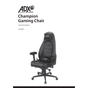 ADX ACHAMP19 manual cover