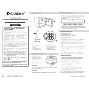 Barska AX13104 Safe manual cover