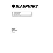 Blaupunkt 5RE64350 manual cover