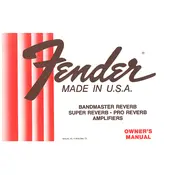 Fender Bandmaster Reverb 1982 Amplifier manual cover