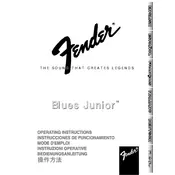 Fender Blues Junior 21-3105 120V 60Hz US Amplifier manual cover