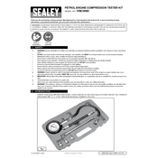 Sealey VSE300D Tester manual cover