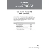 Yamaha Electone Stagea ELS-01 Keyboard manual cover