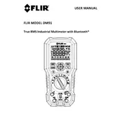 Flir DM91 Multimeter manual cover