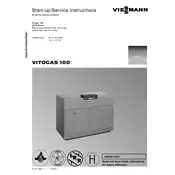 Viessmann Vitogas 100 GS1 Series Boiler