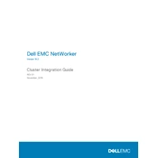 Dell NetWorker 19.2 Software