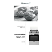 Brandt BCG6501S Cooker manual cover