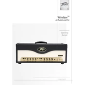 Peavey Windsor Amplifier manual cover