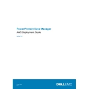 Dell PowerProtect 19.6 Data Manager