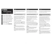 Yamaha Avantgrand N3X Piano