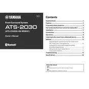 Yamaha ATS-2030 Soundbar