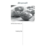 Brandt BPI163DUB Hob manual cover