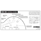 Yamaha BEX BS Amplifier manual cover