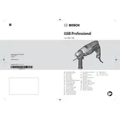 Bosch 0 601 17B 560 Drill