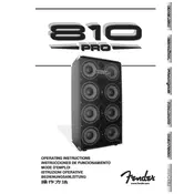 Fender 810 Pro Bass Loudspeaker Enclosure 2217200000 Speaker manual cover