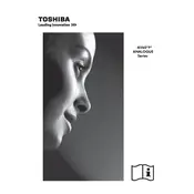 Toshiba 19AV603P TV manual cover