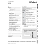 Roland RP102 manual cover