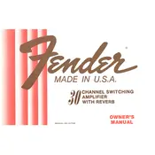 Fender Fender 30 Amplifier manual cover