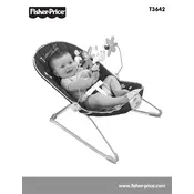 Fisher Price Mattel My Lil Eye Baby T3642 Bouncer manual cover