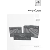 Peavey ValveKing Series Amplifier manual cover