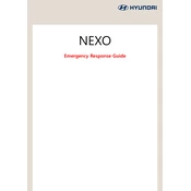 Hyundai Nexo 2019 SUV manual cover