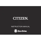 Citizen F900 Watch