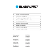 Blaupunkt 5B36P0250 manual cover