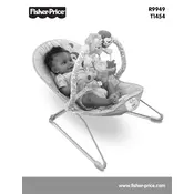 Fisher Price Mattel Precious Planet Happy Giraffe R9949 Bouncer manual cover