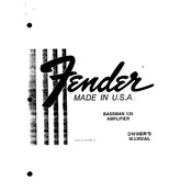 Fender Bassman 135 1979-1983 Amplifier manual cover