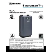 Weil-McLain Evergreen Pro 220 Boiler manual cover