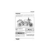 Triumph Speed Triple 94 2016 Motorcycle manual cover