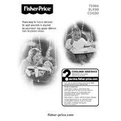 Fisher Price Mattel Infant to Toddler Swing 75986 Toy