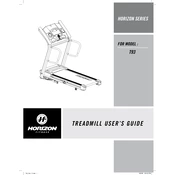 Horizon Fitness T93 2009 Treadmill manual cover