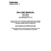 Toshiba 24D1334G TV manual cover