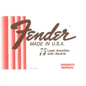 Fender Fender 75 Amplifier manual cover