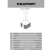 Blaupunkt 5DB96450 manual cover